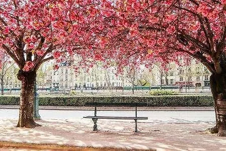 Hotell De La Motte Picquet Paris